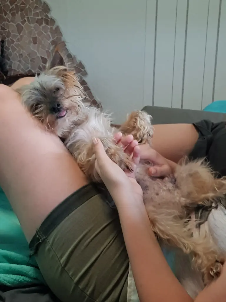 Andachtsbild von Cindy 