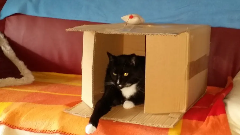 Andachtsbild von Kathrin mit "Maja" tief im Herzen