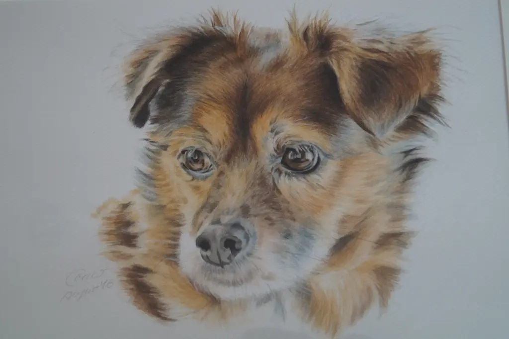 Andachtsbild von Elisabeth