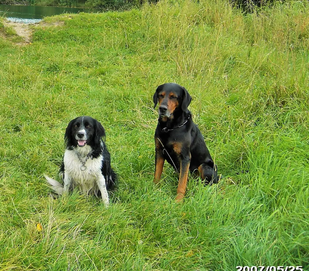 Andachtsbild von Nelly mit Purzel, Regenbogenland