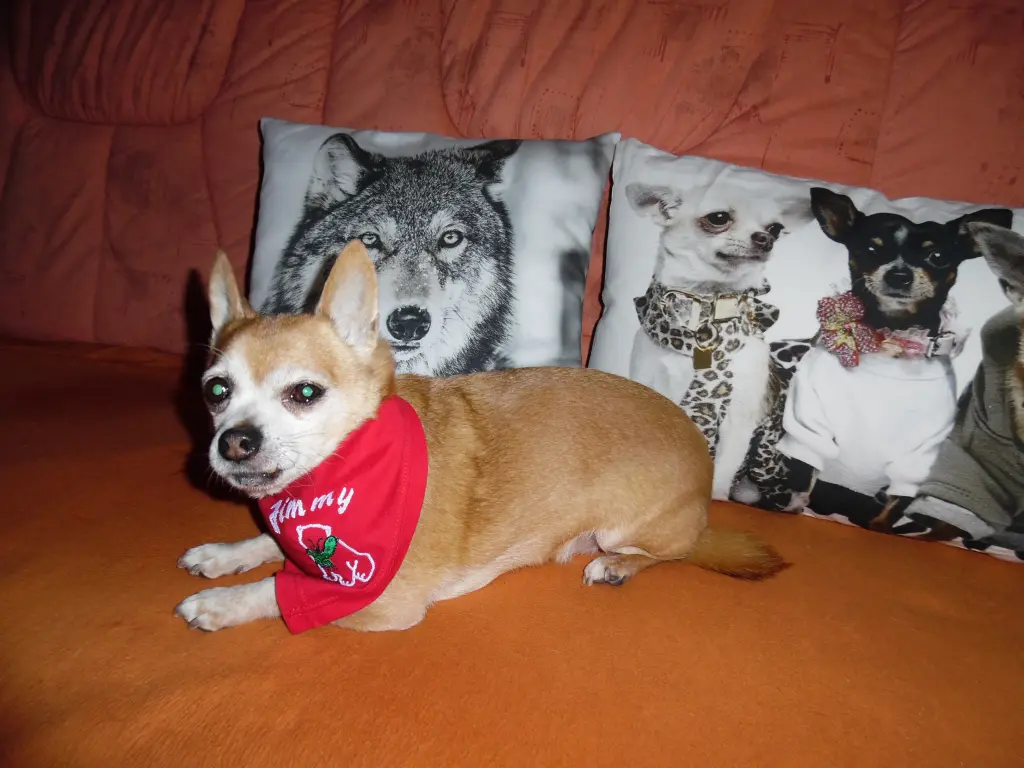 Andachtsbild von Irene mit Jimmy Im Herzen