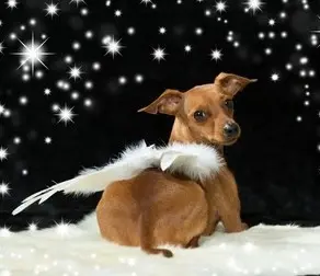 Andachtsbild von Unbekannt