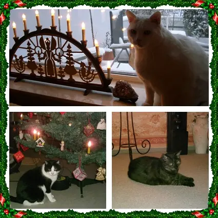 Andachtsbild von Ilse mit Gismo, Fee und Minna tief im Herzen