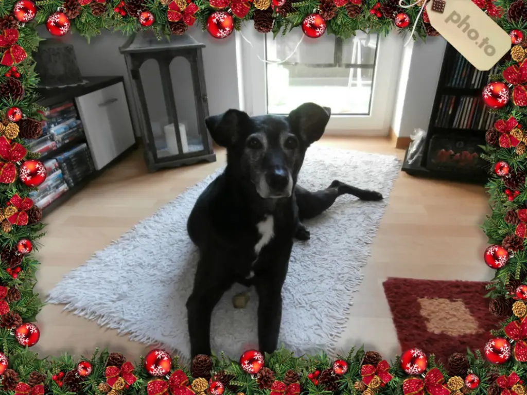 Andachtsbild von Unbekannt