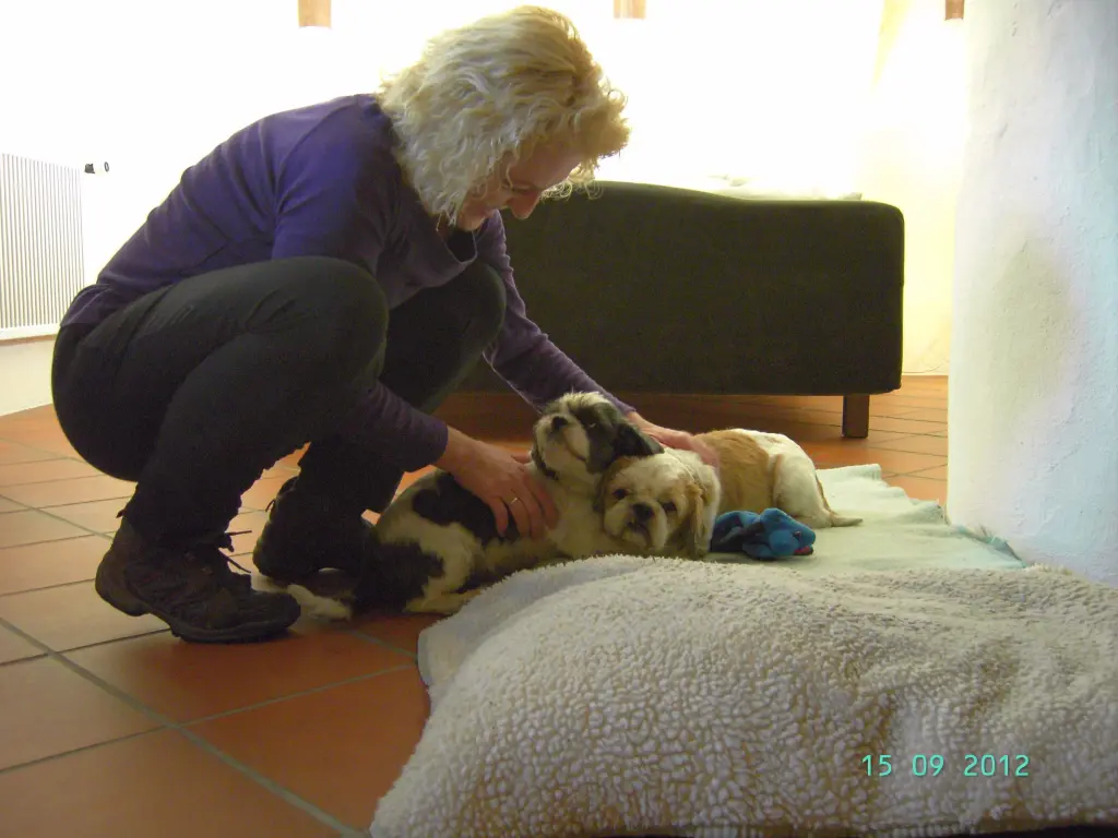 Andachtsbild von Marika mit Balou und Hippo im Herzen