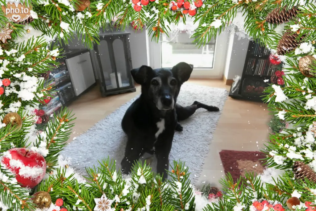 Andachtsbild von Unbekannt