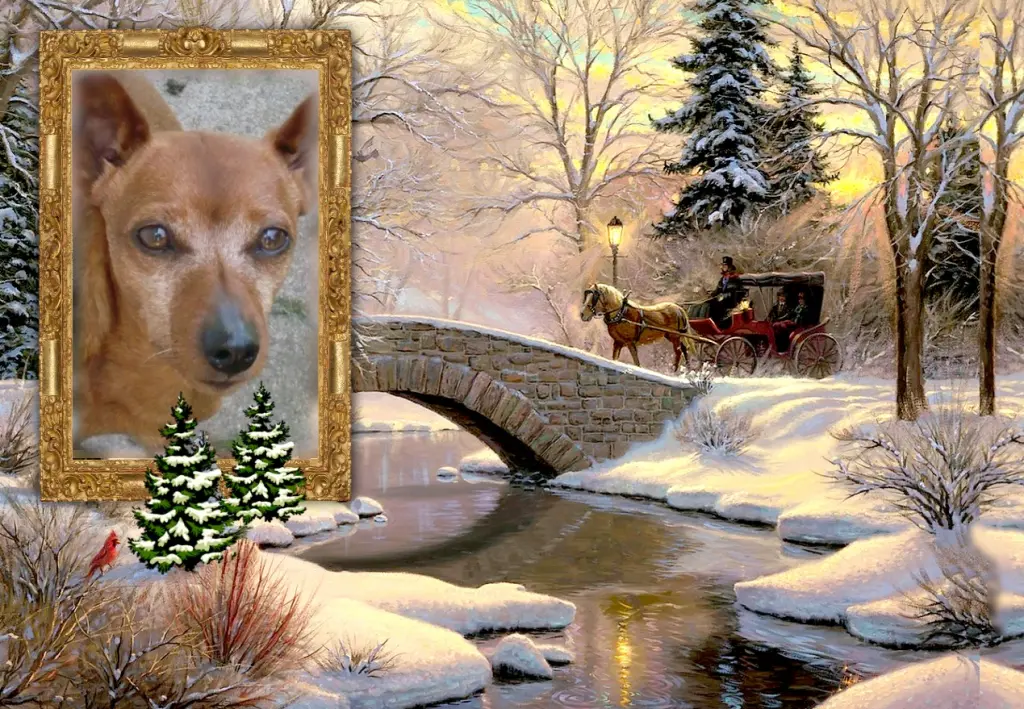 Andachtsbild von Klaudia mit Misiu❤❤❤Ganz Tief im Herzen❤