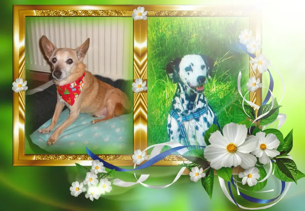 Andachtsbild von Michaela mit Nicko ganz tief im Herzen