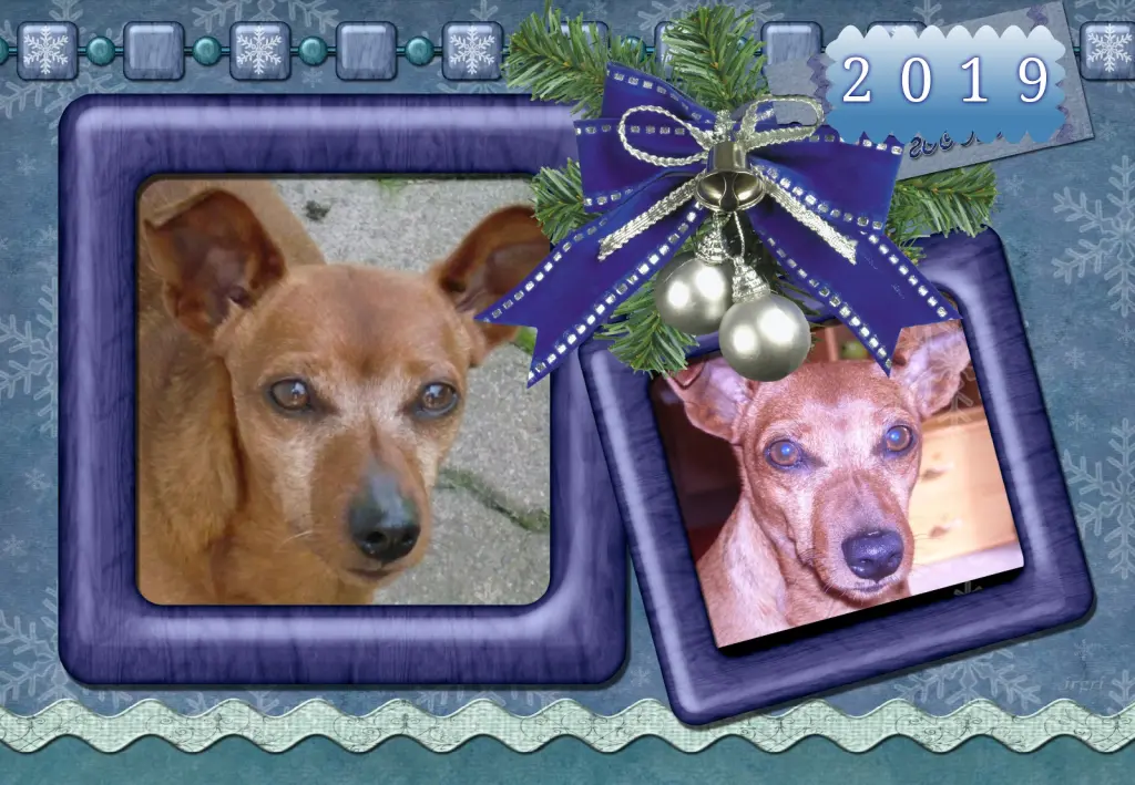 Andachtsbild von Klaudia mit Misiu❤❤❤Ganz Tief im Herzen❤