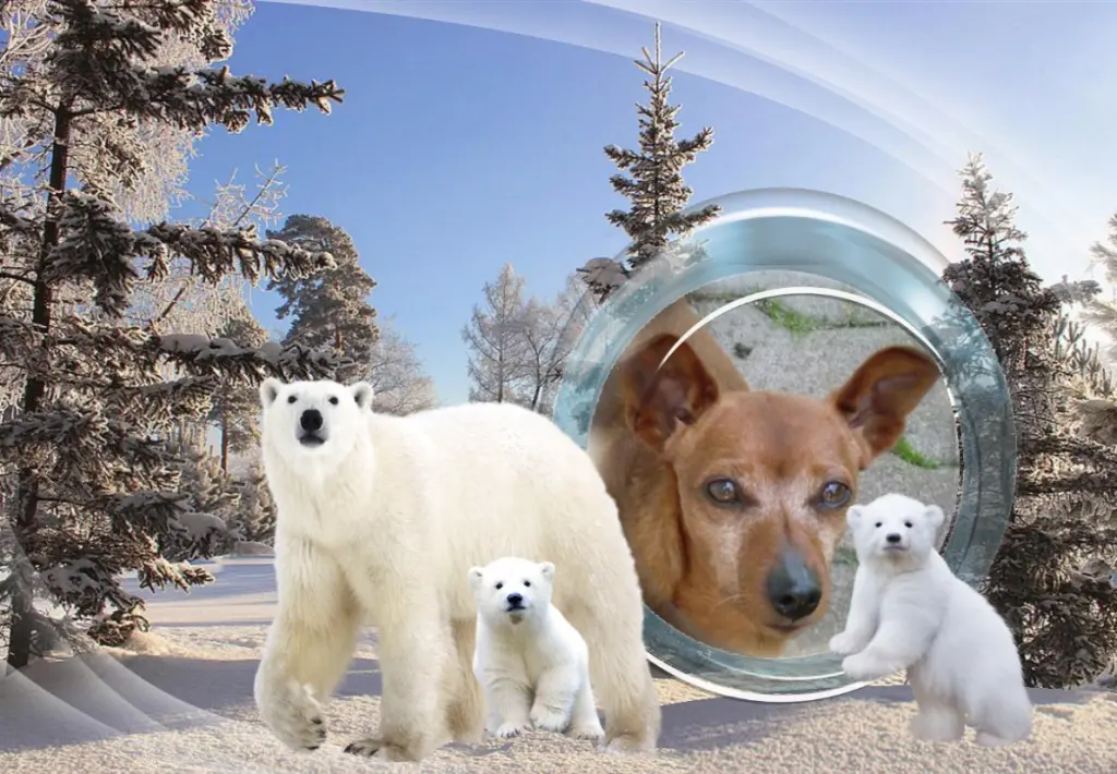 Andachtsbild von Klaudia mit Misiu❤❤❤Ganz Tief im Herzen❤