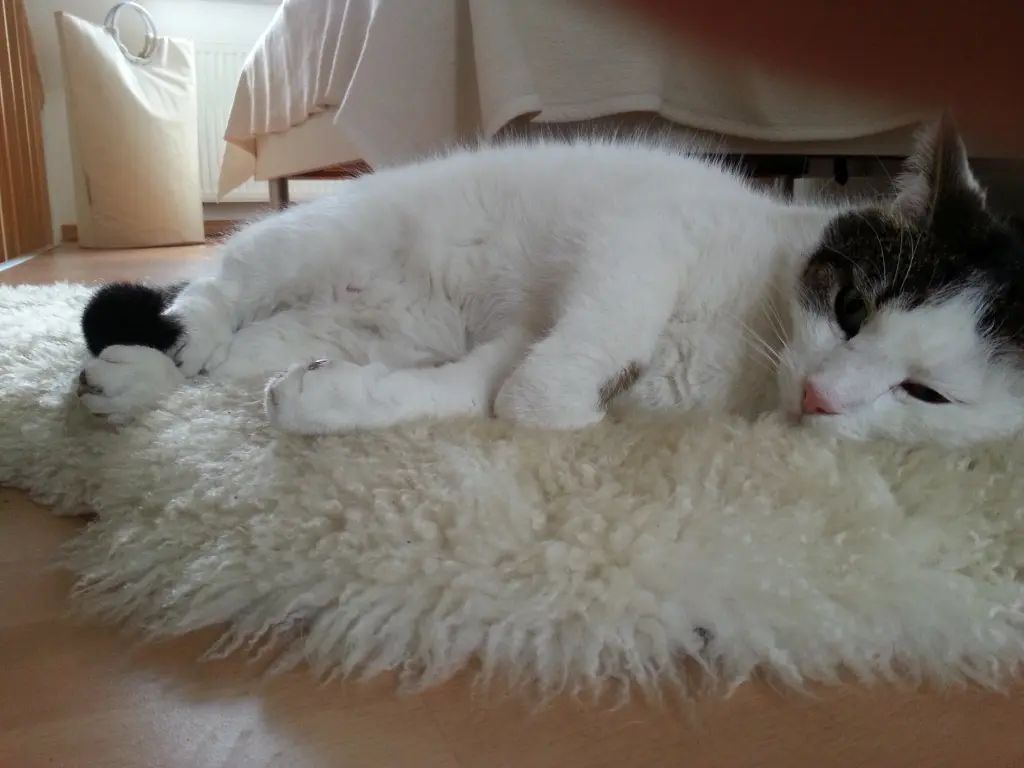 Andachtsbild von Susanne mit Cedric im Herzen