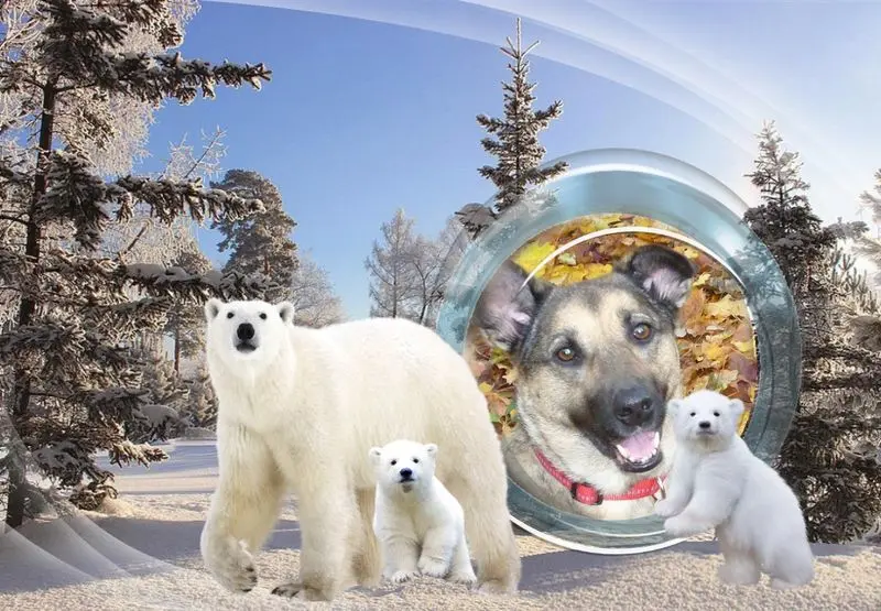 Andachtsbild von Unbekannt