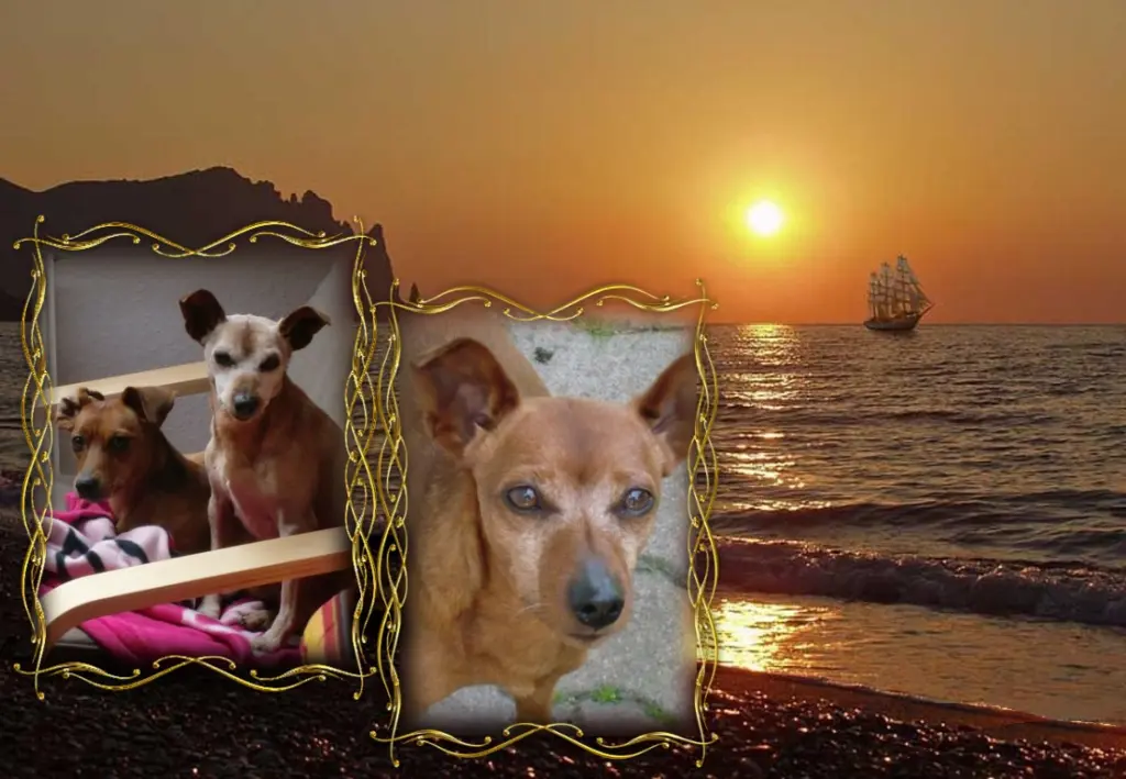 Andachtsbild von Gute Nacht❤️