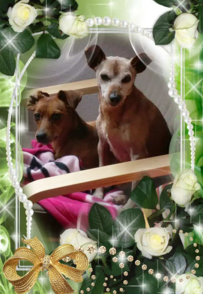 Andachtsbild von Liebe Purzel❤️