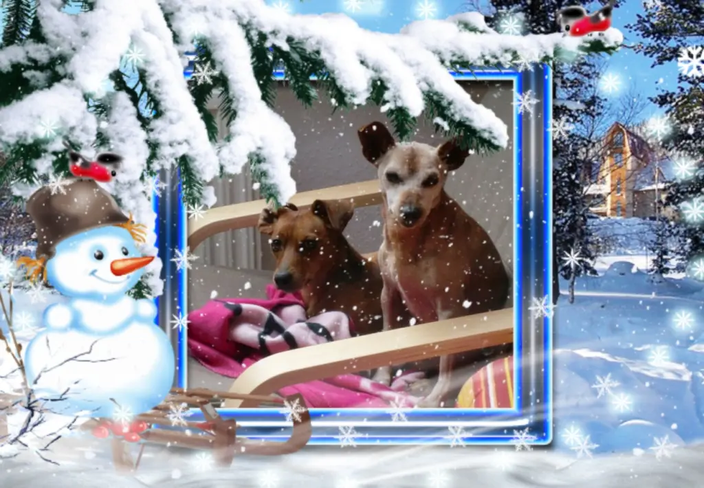 Andachtsbild von Guten Abend❤️