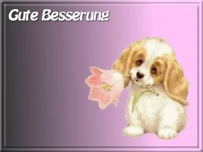 Andachtsbild von Brigitte mit Nelly, Benny und Axel im Herzen