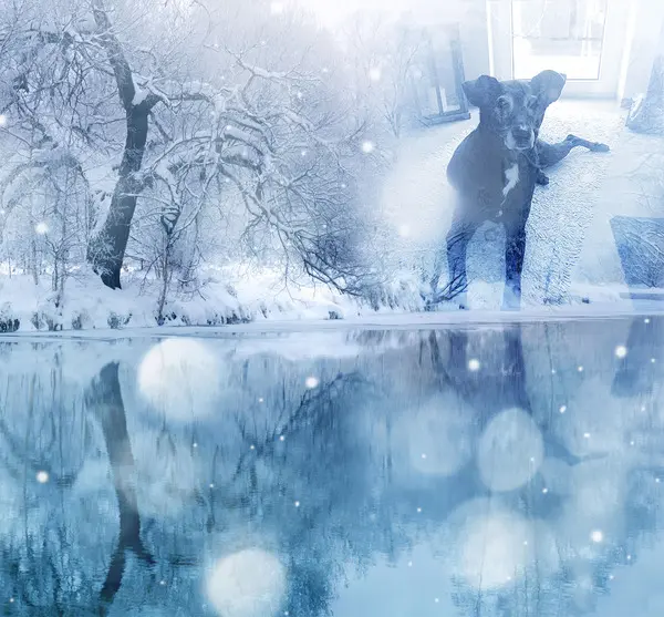 Andachtsbild von Unbekannt