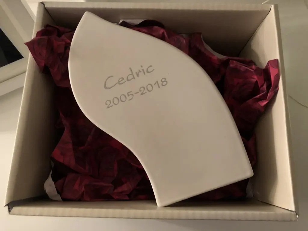 Andachtsbild von Susanne mit Cedric im Herzen L