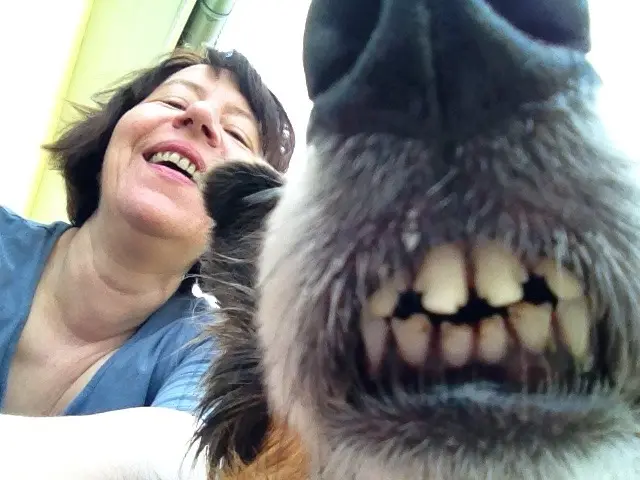 Andachtsbild von Katharina mit Merle im Herzen