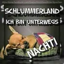 Andachtsbild von Brigitte mit Nelly, Benny und Axel im Herzen