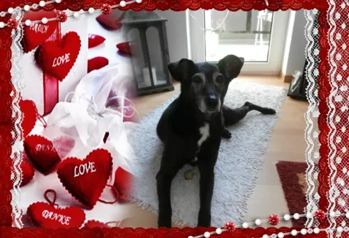 Andachtsbild von Unbekannt