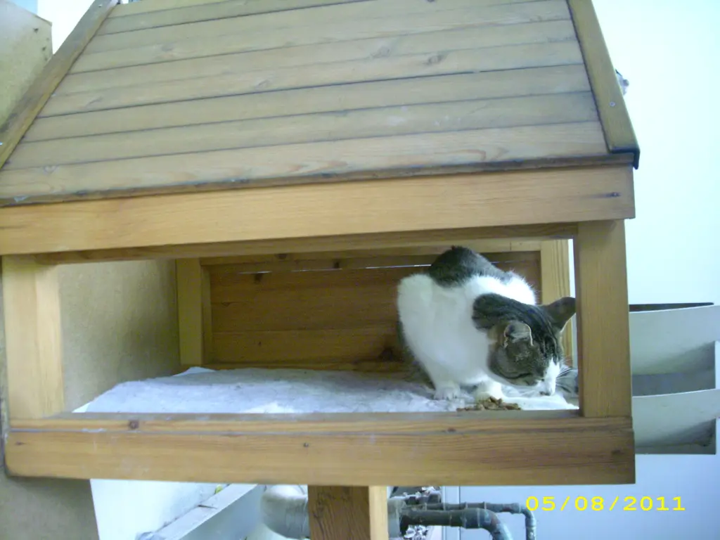 Andachtsbild von Ilse mit Gismo, Fee und Minna tief im Herzen