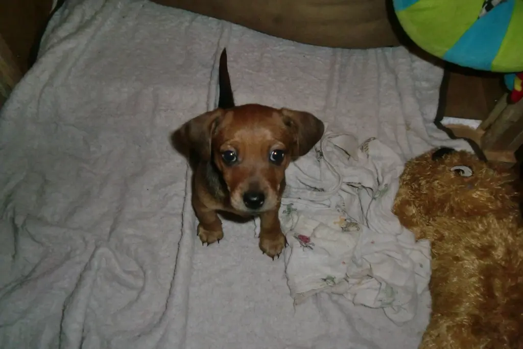 Andachtsbild von Jutta und Oscar