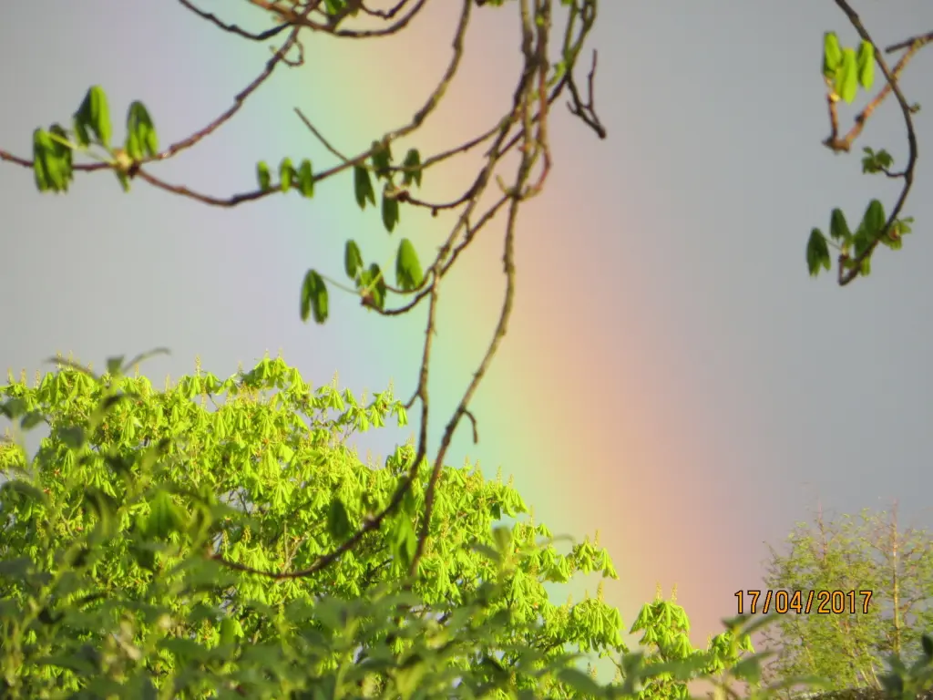 Andachtsbild von Uschi mit Seelenkatzen Jojo und Merlin