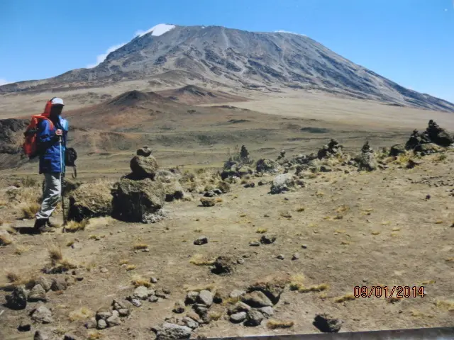 Andachtsbild von Simba, Shuja und Uschi