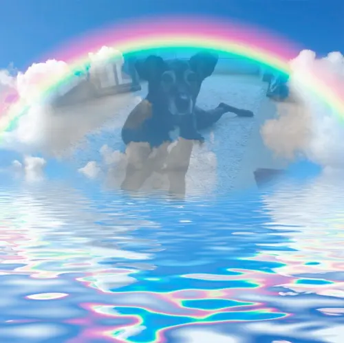 Andachtsbild von Unbekannt