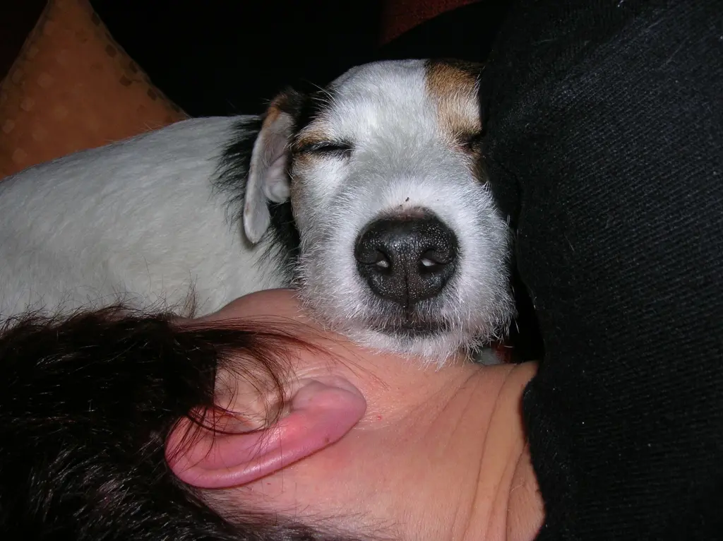 Andachtsbild von Kerstin mit Gismo im Herzen