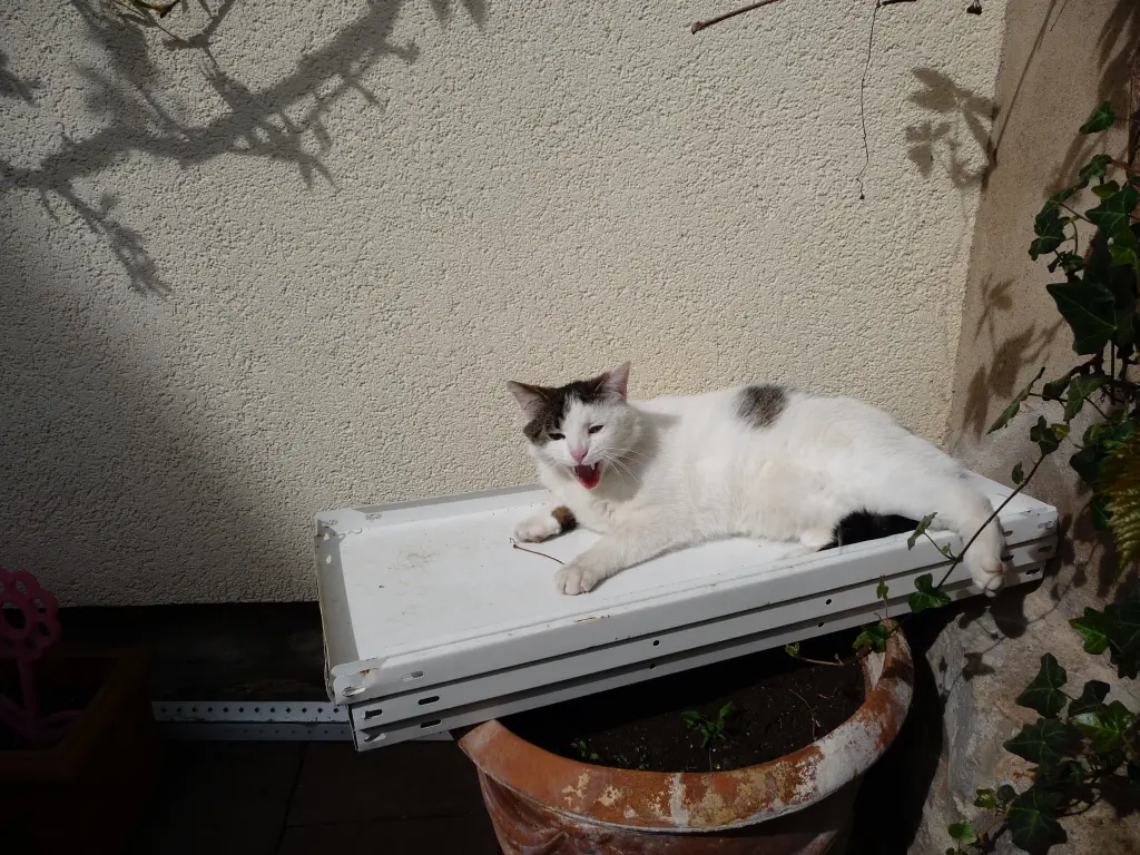 Andachtsbild von Susanne mit Cedric im Herzen 