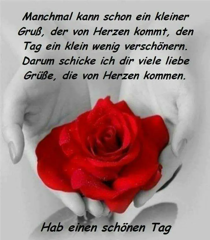 Andachtsbild von Eine Rose für den lieben Purzel 