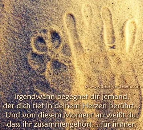 Andachtsbild von Wochenendrose