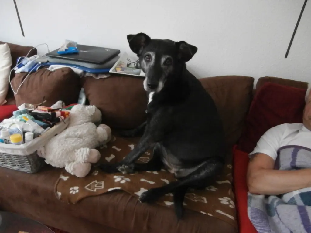 Andachtsbild von Unbekannt