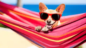 Andachtsbild von Purzel, Regenbogenland