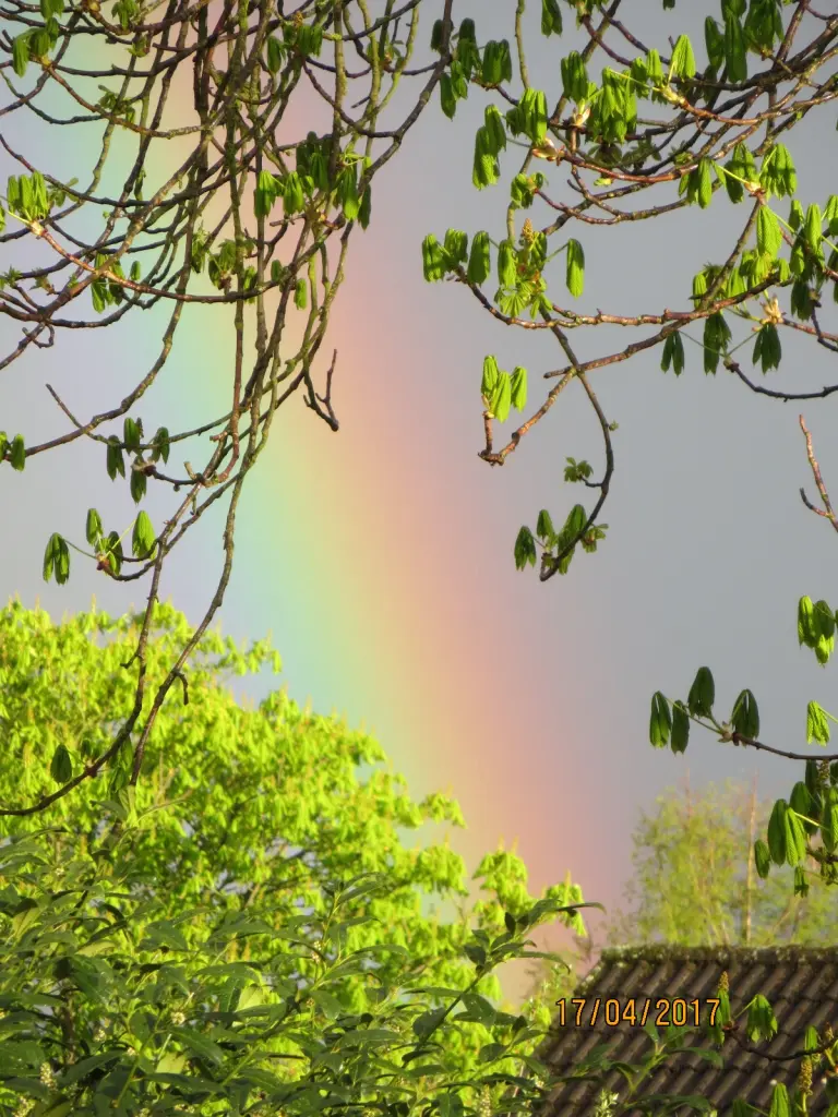 Andachtsbild von Purzel und  alle Sternchen