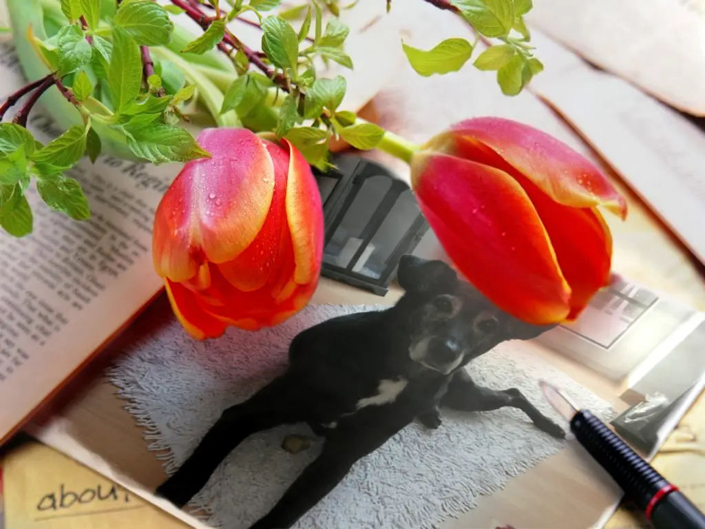 Andachtsbild von Unbekannt