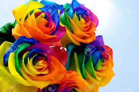 Andachtsbild von Post von Purzel und allen anderen Sternenpfötchen