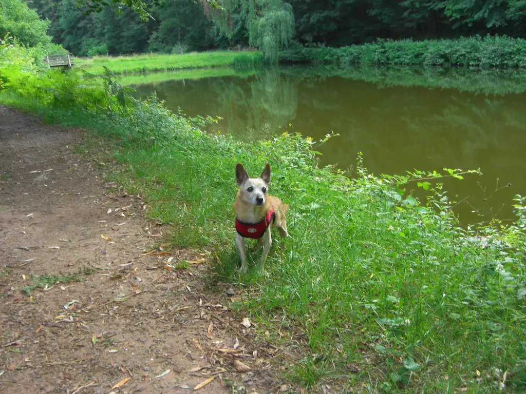 Andachtsbild von Michaela mit Nicko und Ariane ganz tief im ❤