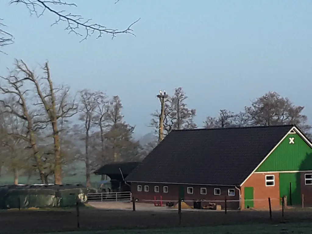 Andachtsbild von Eike und Edeltraud mit Mulle Miezi und Jonny tief im Herzen 