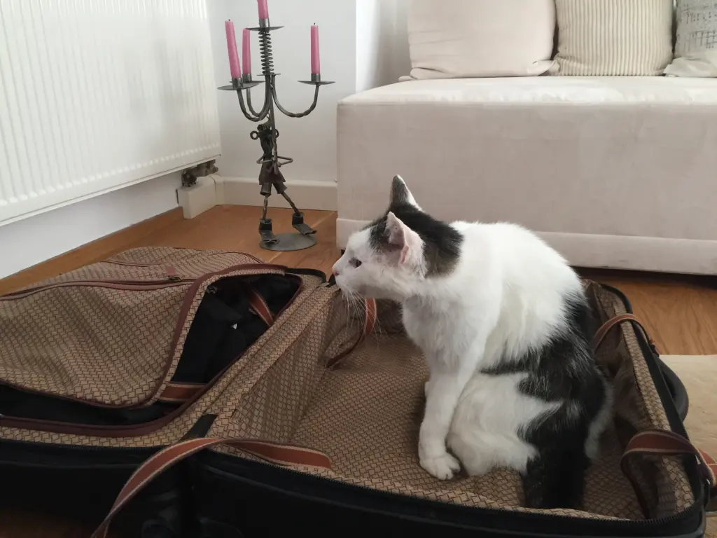 Andachtsbild von Susanne mit Cedric im Herzen 