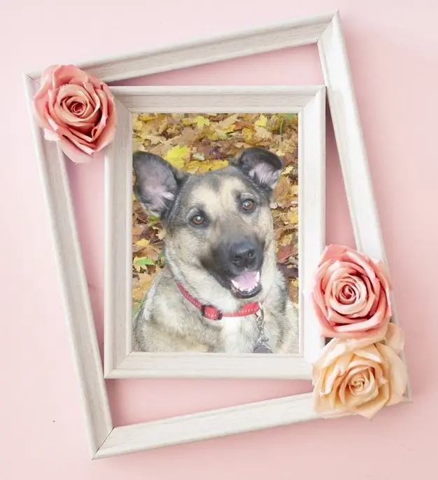 Andachtsbild von Gabriele mit Luna