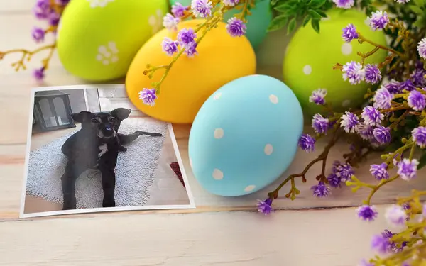 Andachtsbild von Unbekannt