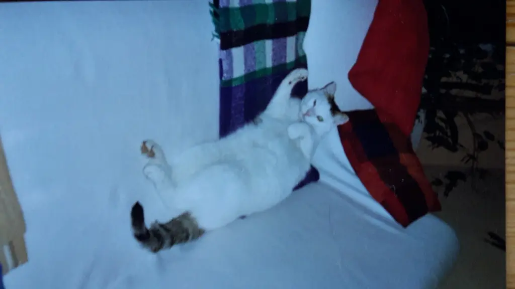 Andachtsbild von Eike und Edeltraud ❤