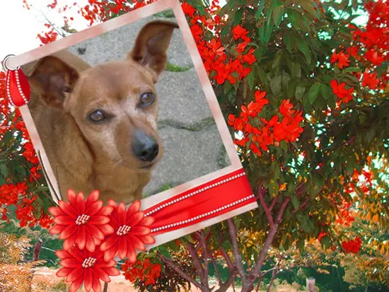 Andachtsbild von ❤️❤️❤️