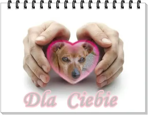 Andachtsbild von ❤️❤️❤️