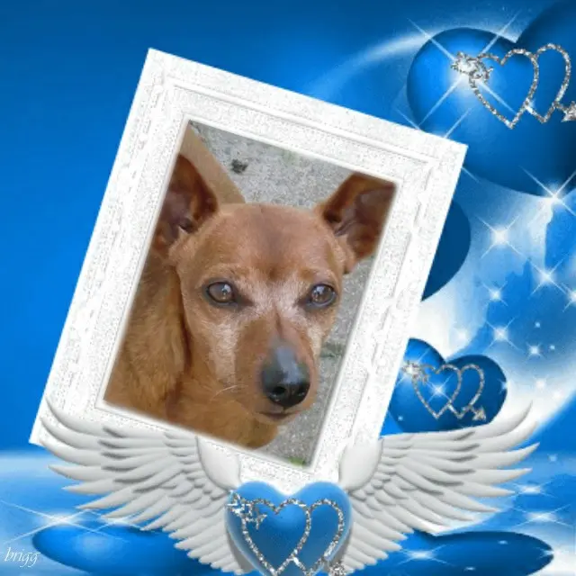 Andachtsbild von ❤️❤️❤️