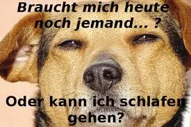 Andachtsbild von Brigitte mit Nelly, Benny und Axel im Herzen