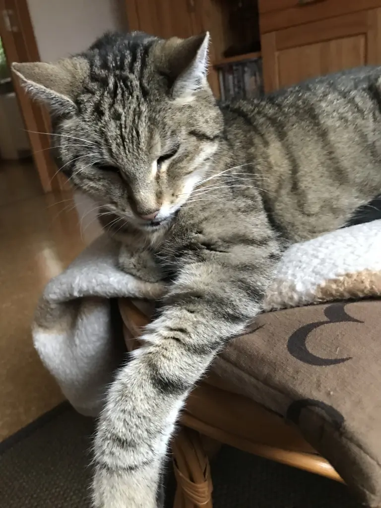 Andachtsbild von Susanne mit Rusty im Herzen ♥️ 